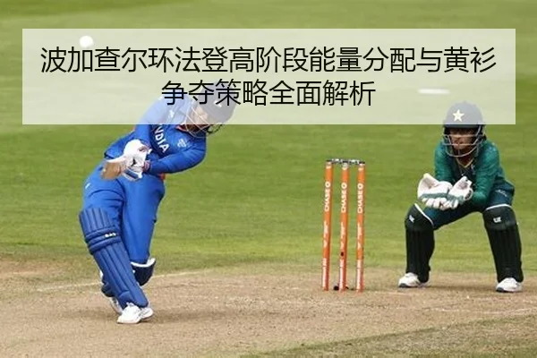 bo-jia-cha-er-huan-fa-deng-gao-jie-duan-neng-liang-fen-pei-yu-huang-shan-zheng-duo-ce-lve-quan-mian-jie-xi-2-577.jpg